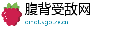 腹背受敌网